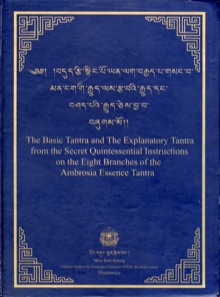 Tantra der Erklärungen in der Tibetischen Medizin